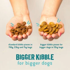 Edgard & Cooper Adult Grain-free Dry Dog Food With Fresh Norwegian Salmon 15 Edgard & Cooper Adult Grain-free Dry Dog Food With Fresh Norwegian Salmon -KONG || Danish Design || Tropiclean Shop I9520983 02