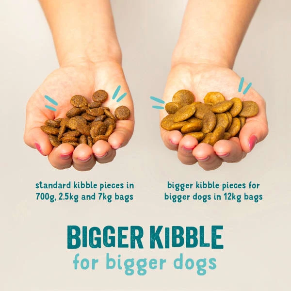 Edgard & Cooper Adult Grain-free Dry Dog Food With Fresh Norwegian Salmon 8 Edgard & Cooper Adult Grain-free Dry Dog Food With Fresh Norwegian Salmon - Image 6