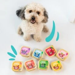 Edgard & Cooper Adult Grain-free Wet Dog Food With Game & Duck -KONG || Danish Design || Tropiclean Shop I9520997 01