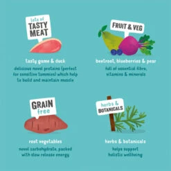 Edgard & Cooper Adult Grain-free Wet Dog Food With Game & Duck -KONG || Danish Design || Tropiclean Shop I9520997 03