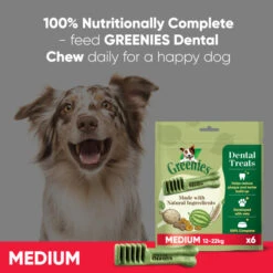 Greenies Original Adult Medium Dog Treat 3 Dental Chews -KONG || Danish Design || Tropiclean Shop I9521382 en 06