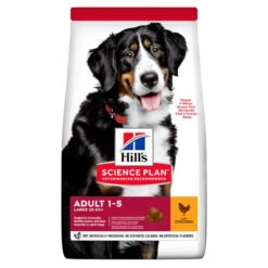 Hill's Science Plan Adult Large Breed Chicken Dry Dog Food -KONG || Danish Design || Tropiclean Shop I9521490