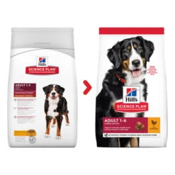 Hill's Science Plan Adult Large Breed Chicken Dry Dog Food -KONG || Danish Design || Tropiclean Shop I9521490 01