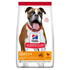 Hill's Science Plan Adult Medium Chicken Light Dry Dog Food -KONG || Danish Design || Tropiclean Shop I9521492
