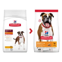 Hill's Science Plan Adult Medium Chicken Light Dry Dog Food -KONG || Danish Design || Tropiclean Shop I9521492 01