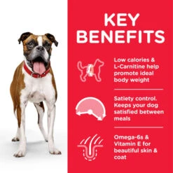 Hill's Science Plan Adult Medium Chicken Light Dry Dog Food -KONG || Danish Design || Tropiclean Shop I9521492 02