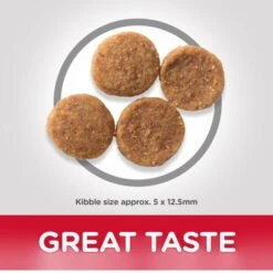 Hill's Science Plan Adult Medium Sensitive Stomach & Skin Chicken Dog Food -KONG || Danish Design || Tropiclean Shop I9521493 04