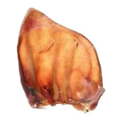 Hollings Pigs Ears Dog Treat -KONG || Danish Design || Tropiclean Shop I9521549 01