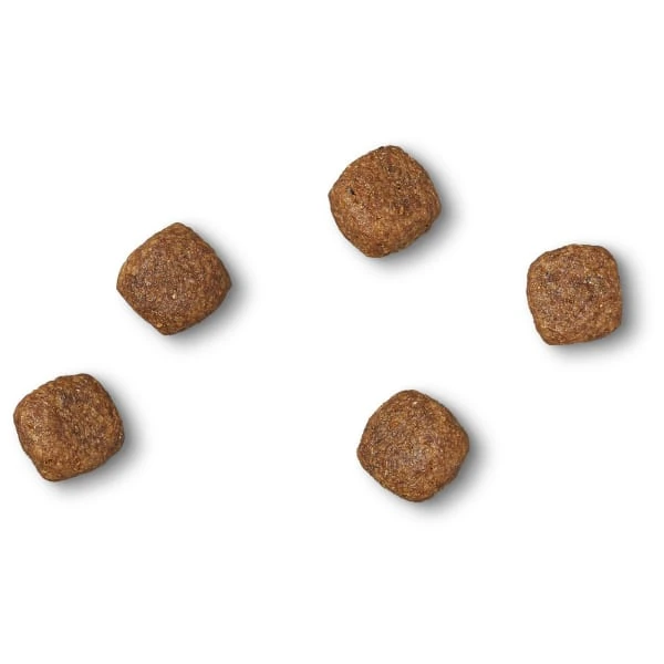 James Wellbeloved Grain-free Adult Small Breed Turkey & Veg Dry Dog Food 10 James Wellbeloved Grain-free Adult Small Breed Turkey & Veg Dry Dog Food - Image 8