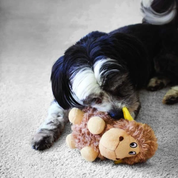 KONG Cruncheez Barnyard Sheep Dog Toy 4 KONG Cruncheez Barnyard Sheep Dog Toy - Image 2