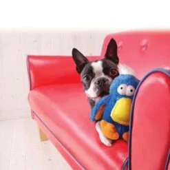 KONG Plush Dodo Assorted Birds Dog Toy