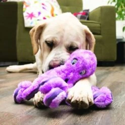 KONG SoftSeas Octopus For Dog Toy