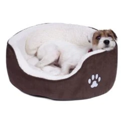 Petface Sams Luxury Oval Dog Bed -KONG || Danish Design || Tropiclean Shop I9522281 01