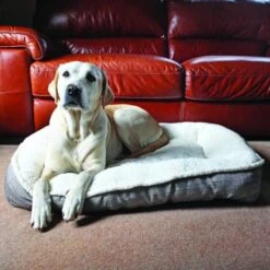 Rosewood 40 Winks Plush & Tweed Teddy Bear Dog Bed Mattress