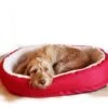 Rosewood Red 40 Winks Orthopaedic Dog Bed 2 Rosewood Red 40 Winks Orthopaedic Dog Bed -KONG || Danish Design || Tropiclean Shop I9522514 02