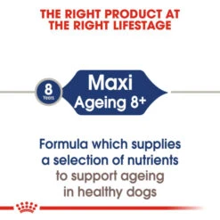 Royal Canin Maxi Ageing In Gravy Wet Dog Food -KONG || Danish Design || Tropiclean Shop I9522546 en 03