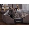 Scruffs Chester Box Bed Graphite Grey -KONG || Danish Design || Tropiclean Shop I9522614 04