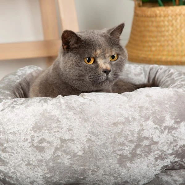 Scruffs Velvet Pet Bed Grey 4 Scruffs Velvet Pet Bed Grey - Image 2