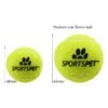 SPORTSPET Mini Tennis Balls Dog & Cat Toy