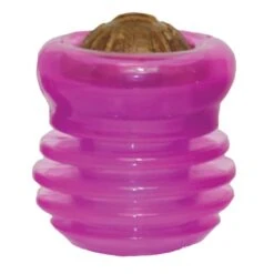 Starmark Groovy Ball Dog Toy -KONG || Danish Design || Tropiclean Shop I9522742