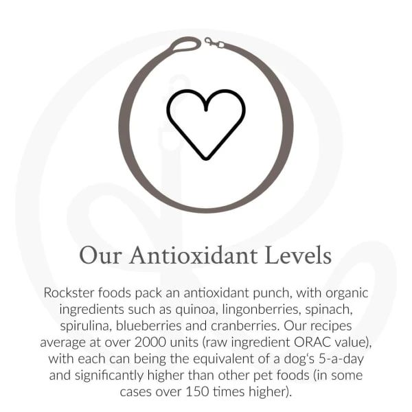 The Rockster Chickenrella Bio-Organic Chicken Can 7 The Rockster Chickenrella Bio-Organic Chicken Can - Image 5