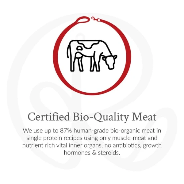 The Rockster Chickenrella Bio-Organic Chicken Can 5 The Rockster Chickenrella Bio-Organic Chicken Can - Image 3