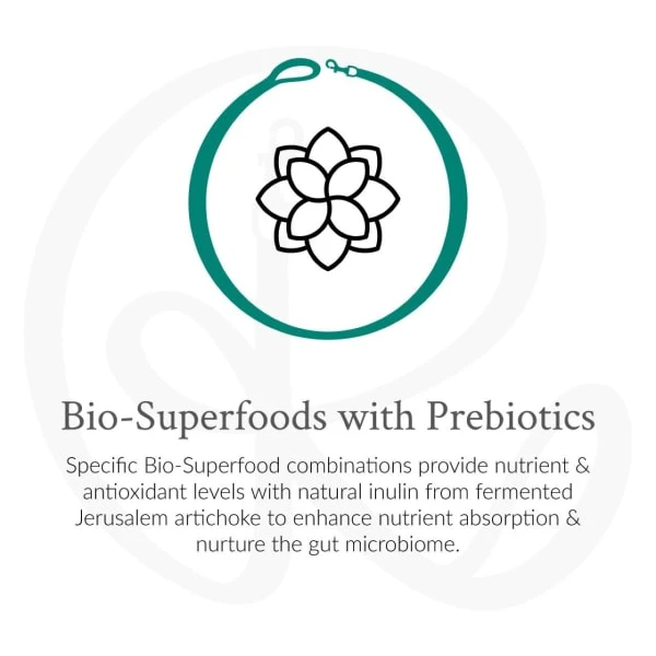 The Rockster Chickenrella Bio-Organic Chicken Can 4 The Rockster Chickenrella Bio-Organic Chicken Can - Image 2