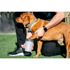Dexas Lidded MudBuster Dog Paw Cleaner In Light Grey -KONG || Danish Design || Tropiclean Shop I9530335 03