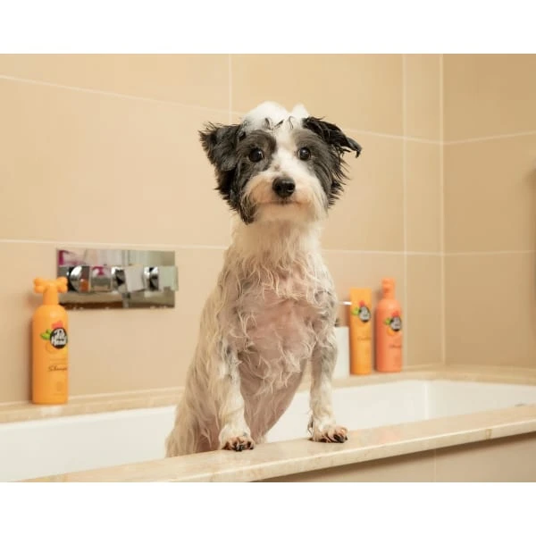 Pet Head Ditch The Dirt Dog Conditioner 4 Pet Head Ditch The Dirt Dog Conditioner - Image 2