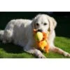 Petface Buddies Caterpillar Dog Toy -KONG || Danish Design || Tropiclean Shop I9530443 02