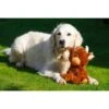 Petface Buddies Highland Cow Dog Toy