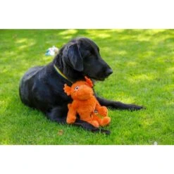 Petface Mighty Dragon Dog Toy