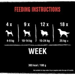 Crave Grain-free Protein Bars Dog Treats - Beef 12 Crave Grain-free Protein Bars Dog Treats - Beef -KONG || Danish Design || Tropiclean Shop I9530842 en 06