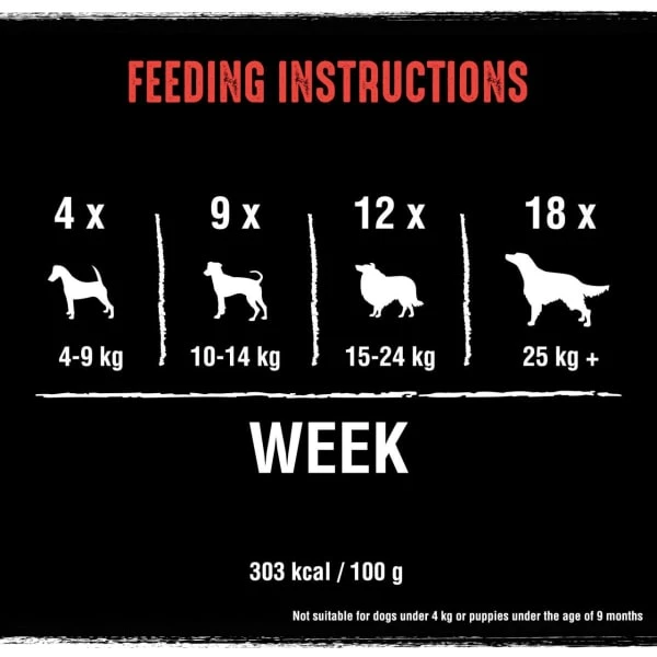 Crave Grain-free Protein Bars Dog Treats - Beef 7 Crave Grain-free Protein Bars Dog Treats - Beef - Image 5