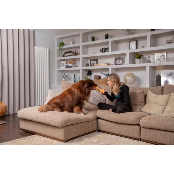 Pet Head Ditch The Dirt Shampoo 4 Pet Head Ditch The Dirt Shampoo - Image 2