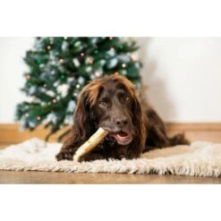 Earth Animal No Hide The Feast One Large Dog Chew