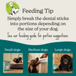 Forthglade Natural Grain-free Adult Dental Sticks Dog Treats -KONG || Danish Design || Tropiclean Shop I9579280 en 07