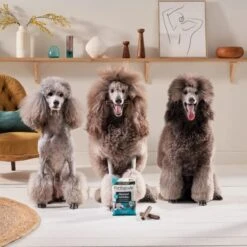 Forthglade Natural Grain-free Adult Dental Sticks Dog Treats -KONG || Danish Design || Tropiclean Shop I9579280 en 09