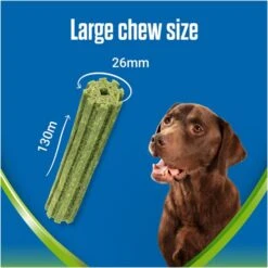 Dentalife ActivFresh Dental Chew Large Dog Treats -KONG || Danish Design || Tropiclean Shop I9602435 en 08