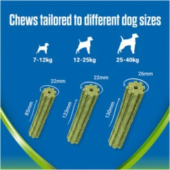 Dentalife ActivFresh Dental Chew Small Dog Treats -KONG || Danish Design || Tropiclean Shop I9602437 en 08