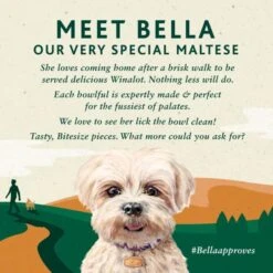 Winalot Small Adult Wet Dog Food - Mixed Selection In Gravy -KONG || Danish Design || Tropiclean Shop I9602443 en 07