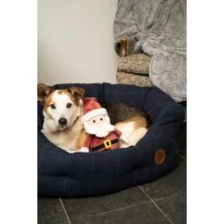 Petface Christmas Squeaky Santa Plush Dog Toy -KONG || Danish Design || Tropiclean Shop I9607402 en 08