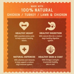 James Wellbeloved Gluten-free Senior Wet Dog Food - Mixed Selection In Loaf -KONG || Danish Design || Tropiclean Shop I9613279 en 04