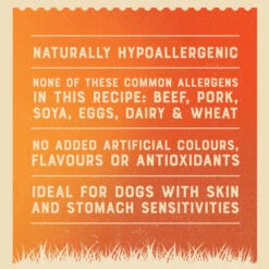 James Wellbeloved Gluten-free Senior Wet Dog Food - Mixed Selection In Loaf -KONG || Danish Design || Tropiclean Shop I9613279 en 08