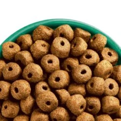 James Wellbeloved Gluten-free Large Adult Dry Dog Food - Chicken & Rice -KONG || Danish Design || Tropiclean Shop I9613283 en 05