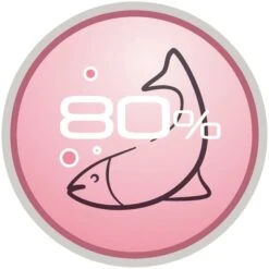 Purina Pro Plan Acti Protect Derma Care Small And Mini Adult Dry Dog Food - Salmon -KONG || Danish Design || Tropiclean Shop I9629278 04