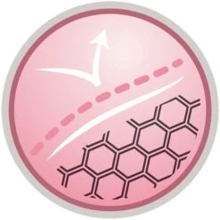 Purina Pro Plan Acti Protect Derma Care Small And Mini Adult Dry Dog Food - Salmon -KONG || Danish Design || Tropiclean Shop I9629278 06