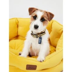 Joules Chesterfield Dog Bed - Yellow -KONG || Danish Design || Tropiclean Shop I9637397 en 10