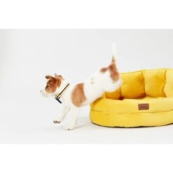 Joules Chesterfield Dog Bed - Yellow -KONG || Danish Design || Tropiclean Shop I9637397 en 12