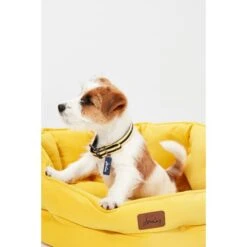 Joules Chesterfield Dog Bed - Yellow -KONG || Danish Design || Tropiclean Shop I9637397 en 14